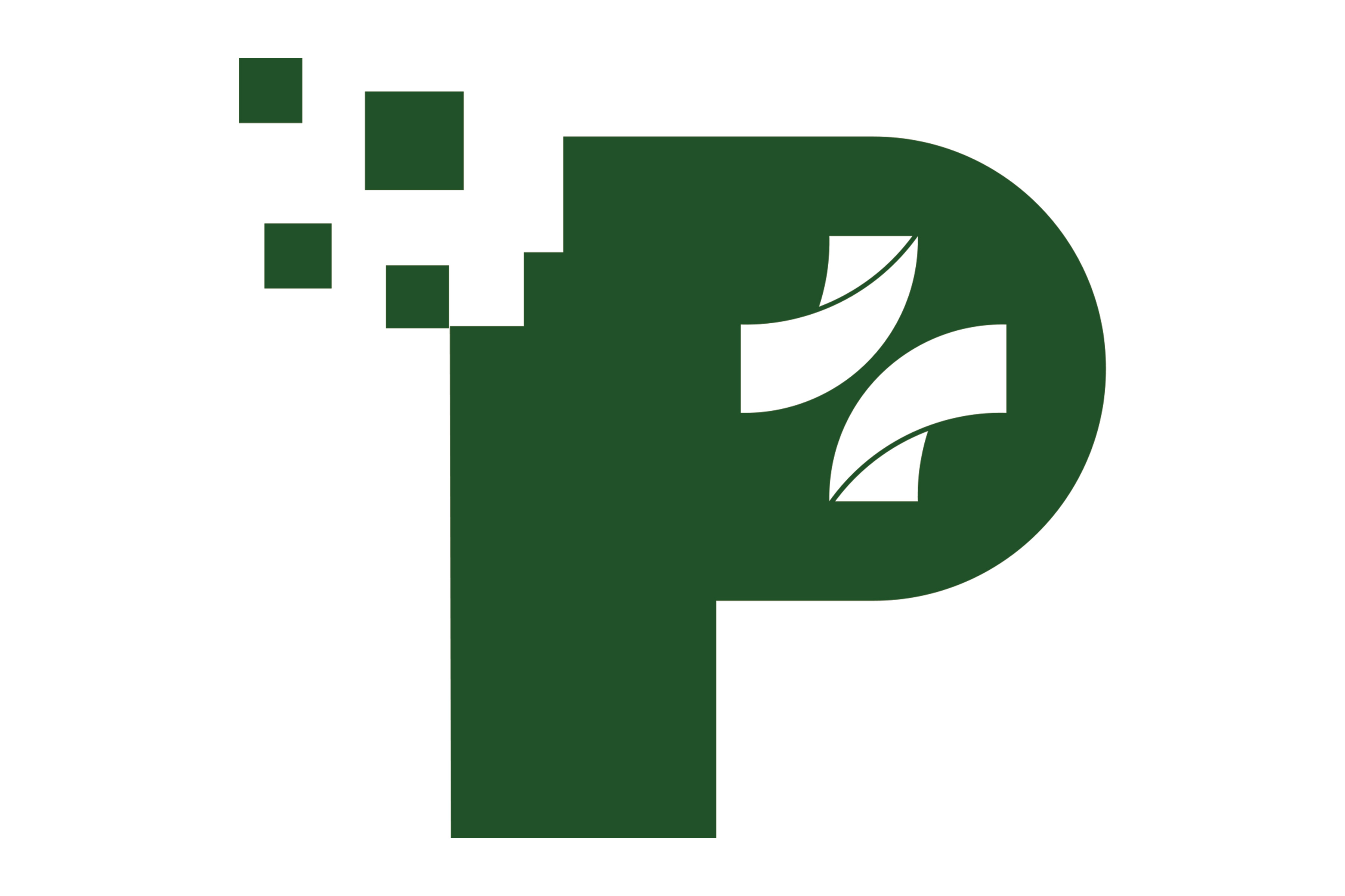 Power Plus logo